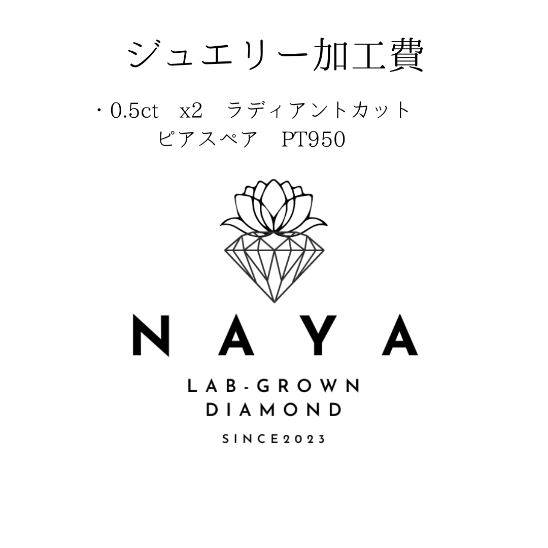 ご予約お客様専用:特注:0.5ct x2 ラディアントカット ピアスペア PT950 IGI 737543095/782627197
