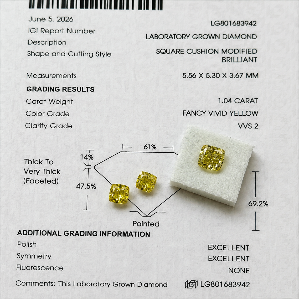 お客様専用ページ 　1ct 0.5ct×2 イエローダイヤモンド ペンダント ピアス